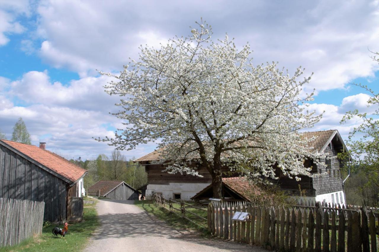 Ferienwohnung Seenglueck Ваккерсдорф Екстер'єр фото